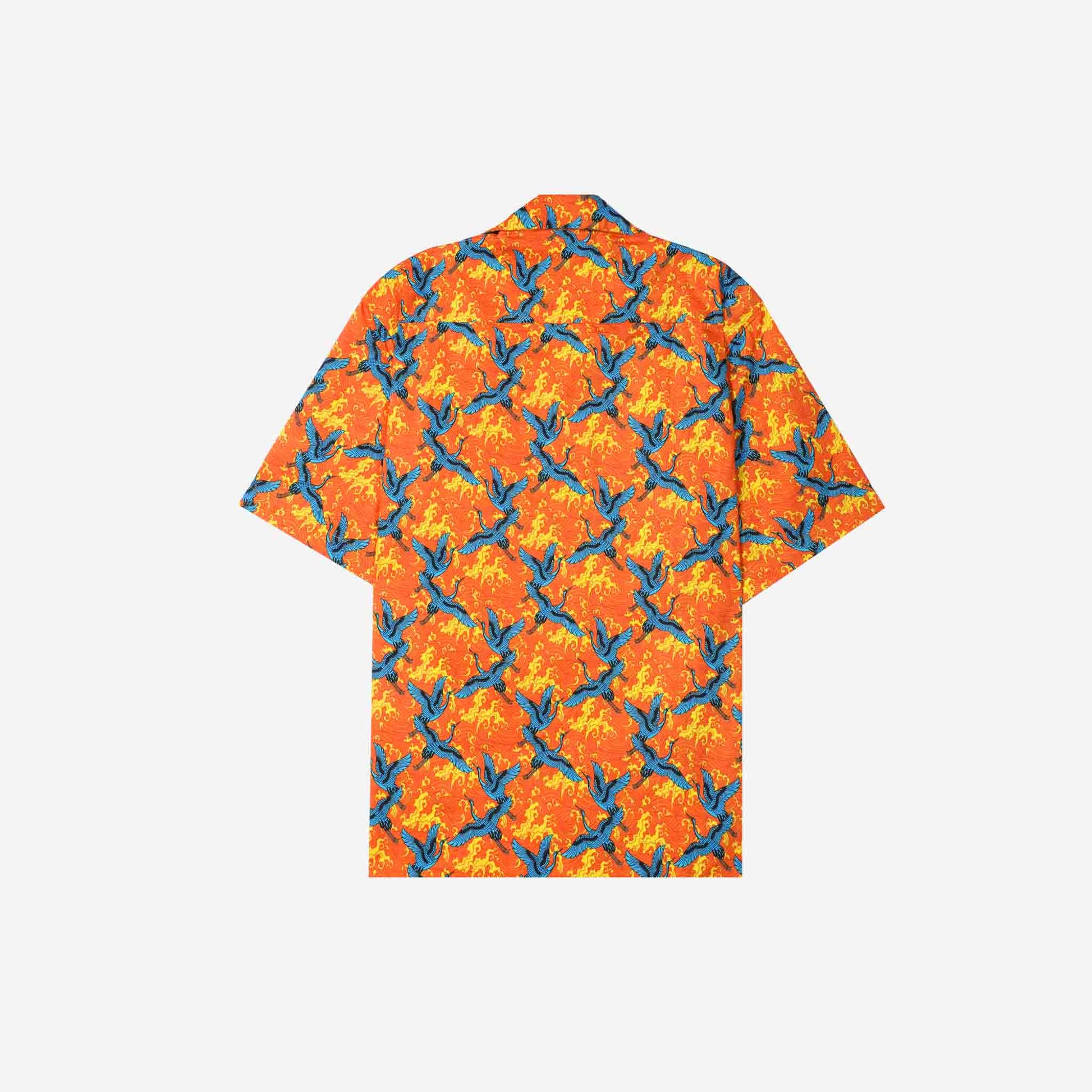 THE WINGS OF FREEDOM