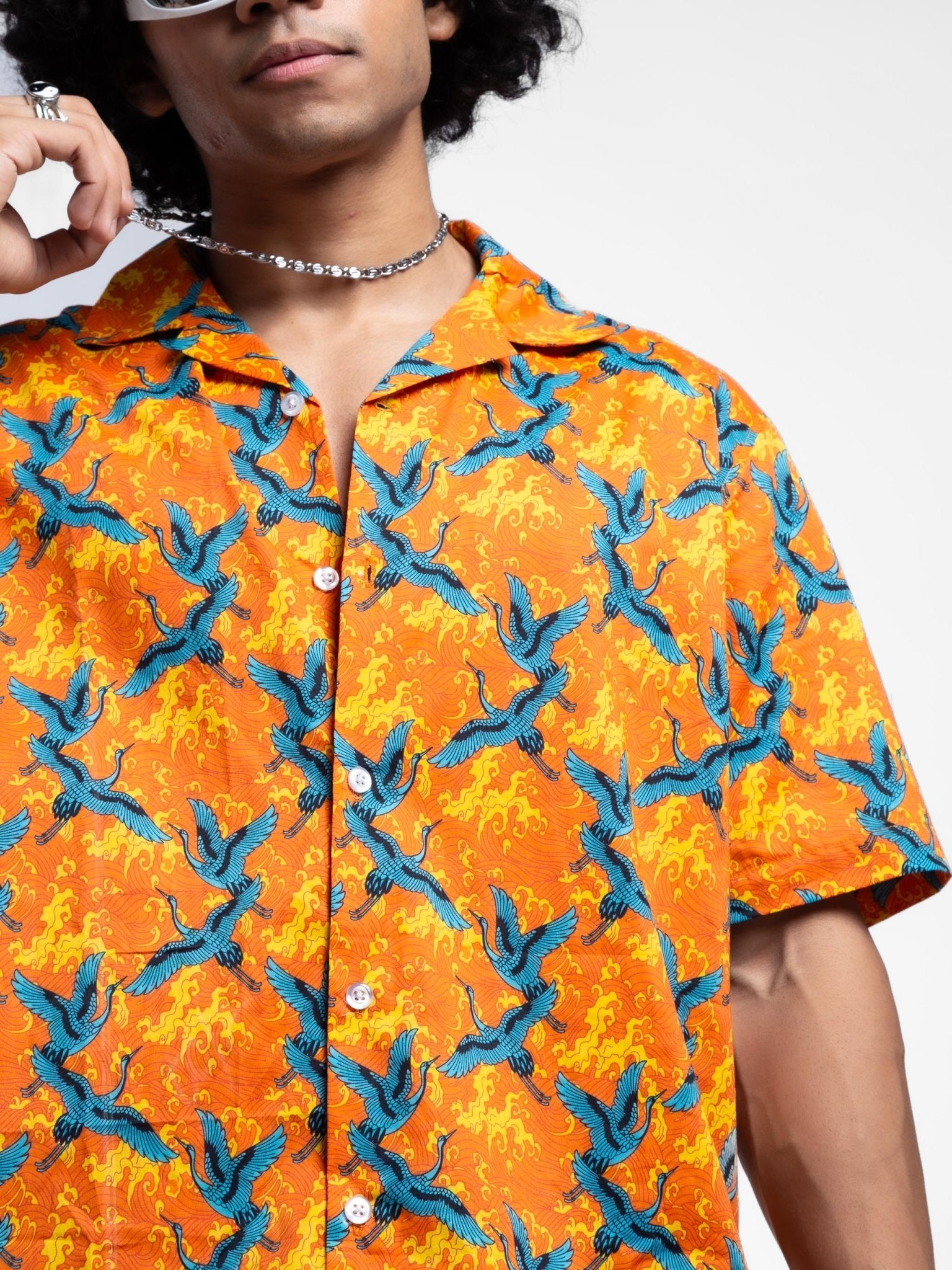 THE WINGS OF FREEDOM