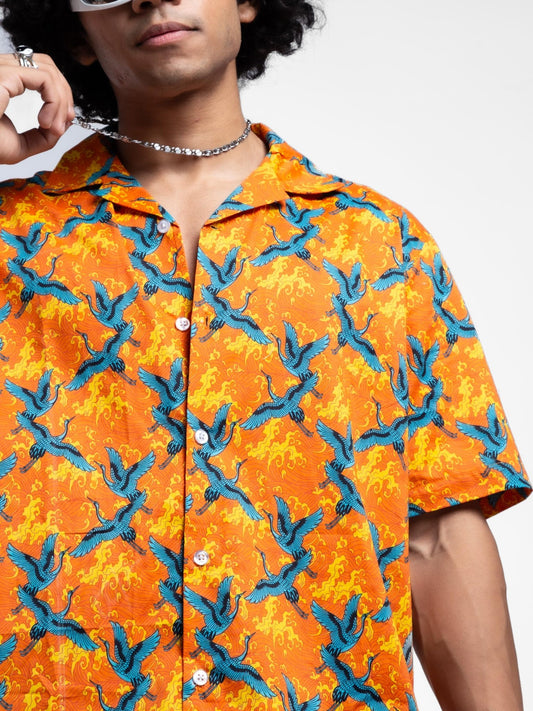 THE WINGS OF FREEDOM