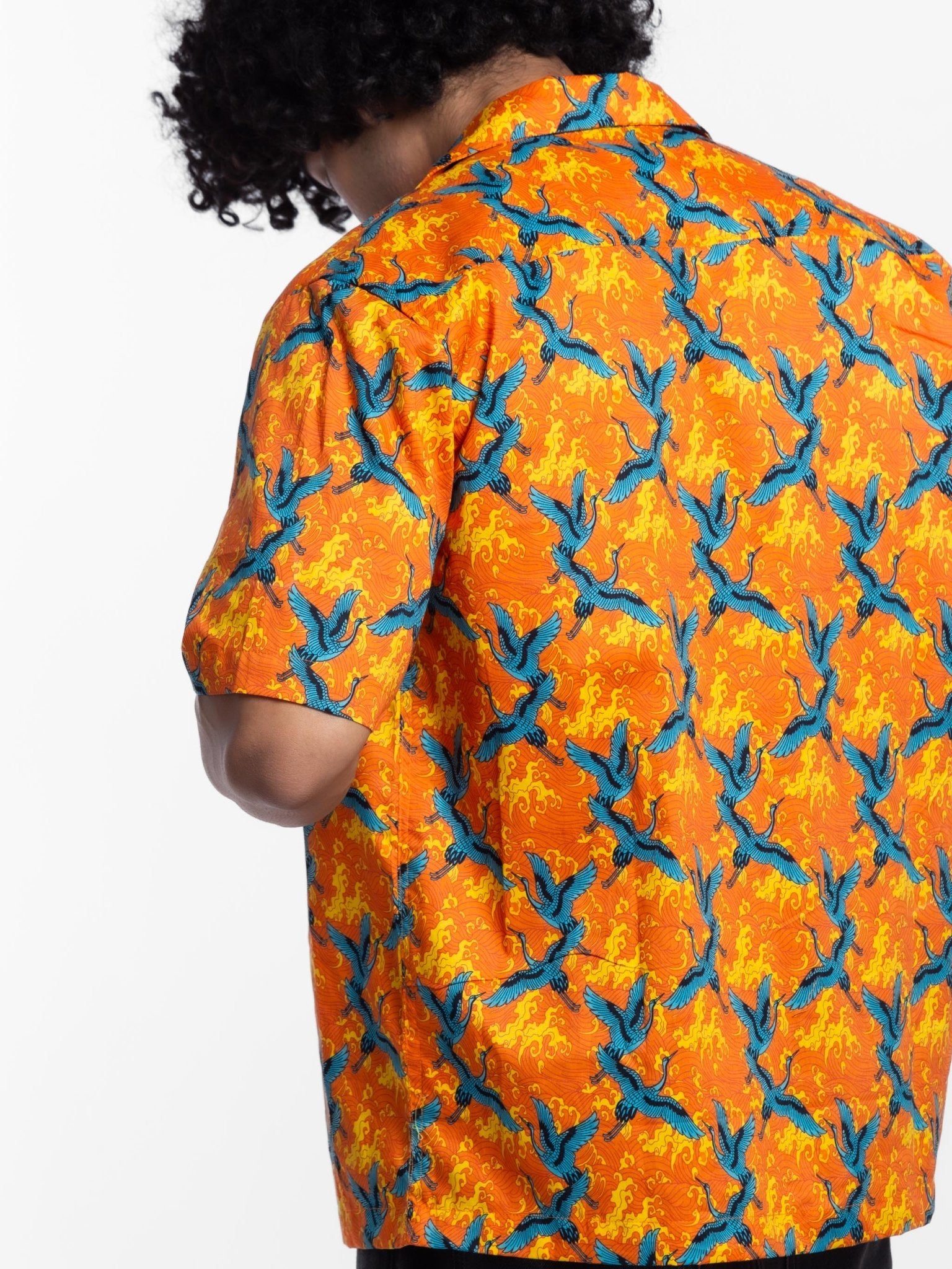 THE WINGS OF FREEDOM