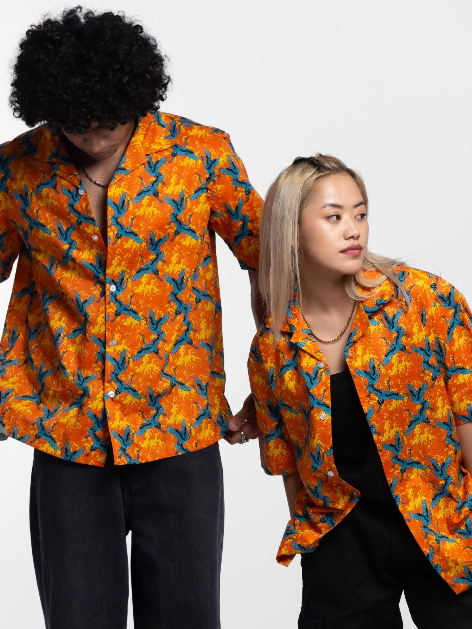 THE WINGS OF FREEDOM