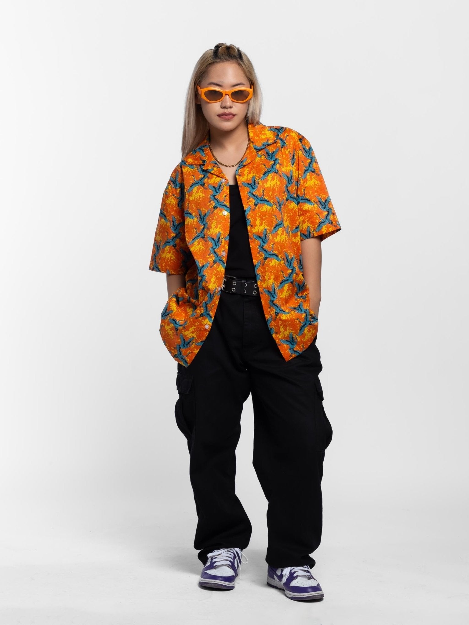 THE WINGS OF FREEDOM