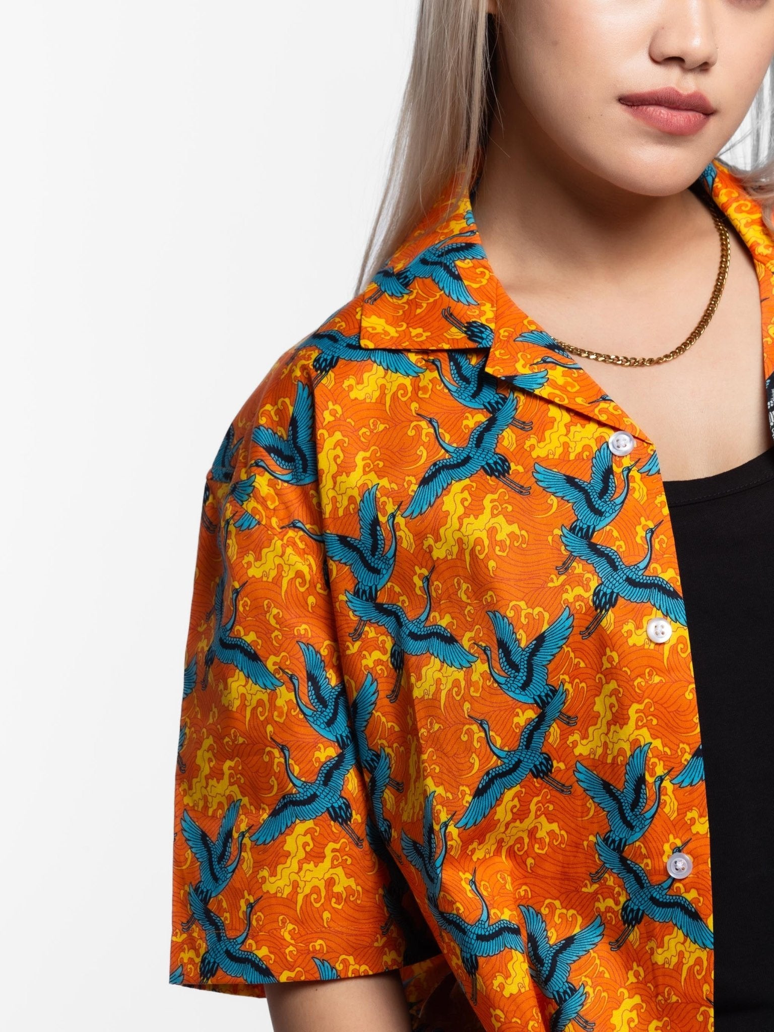 THE WINGS OF FREEDOM